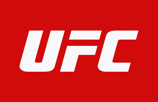 UFC Japan